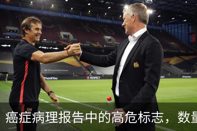 癌症病理报告中的高危标志，数量越多复发风险越大